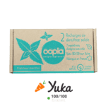 dentifrice solide rechargeable