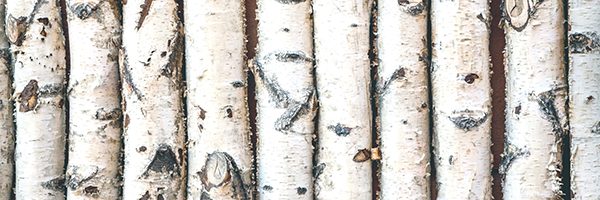 dentifrice sans dioxyde de titane dentifrices sans dioxyde de titane