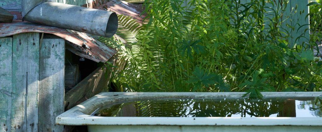 récupération eau de pluie